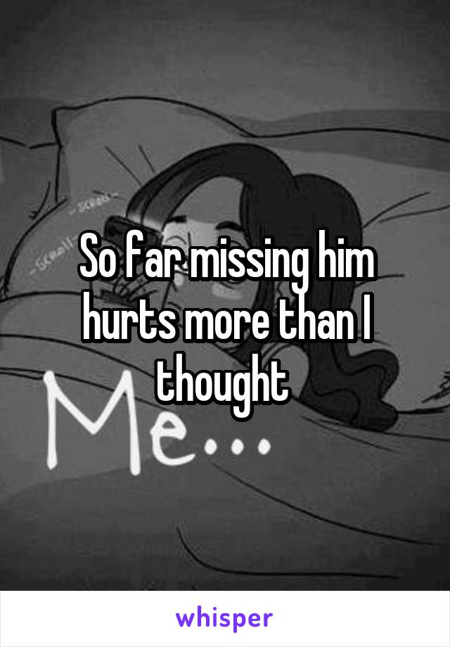 So far missing him hurts more than I thought 