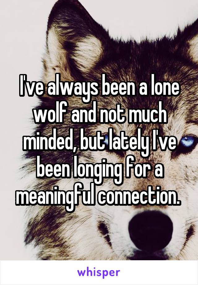 I've always been a lone wolf and not much minded, but lately I've been longing for a meaningful connection. 