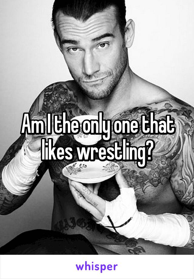 Am I the only one that likes wrestling?