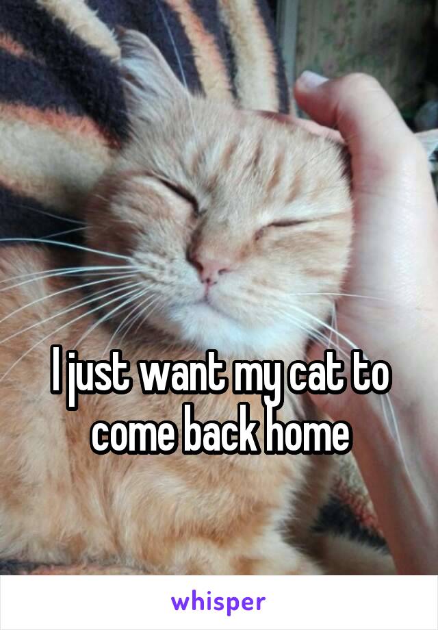 


I just want my cat to come back home