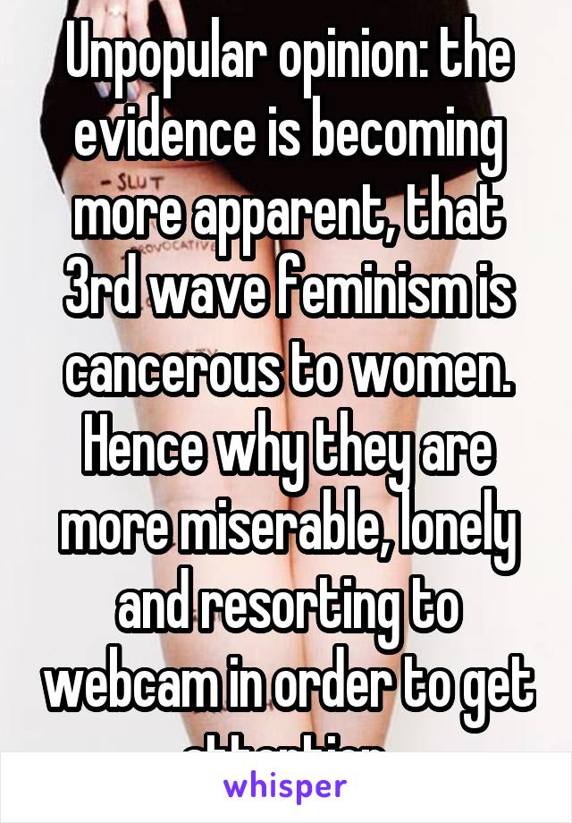Unpopular opinion: the evidence is becoming more apparent, that 3rd wave feminism is cancerous to women. Hence why they are more miserable, lonely and resorting to webcam in order to get attention.