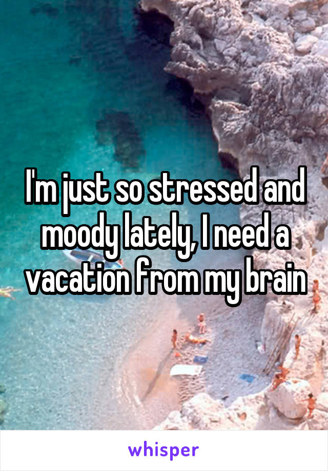 I'm just so stressed and moody lately, I need a vacation from my brain