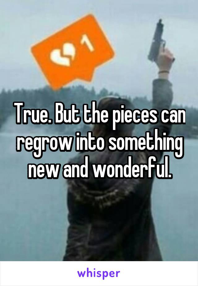 True. But the pieces can regrow into something new and wonderful.