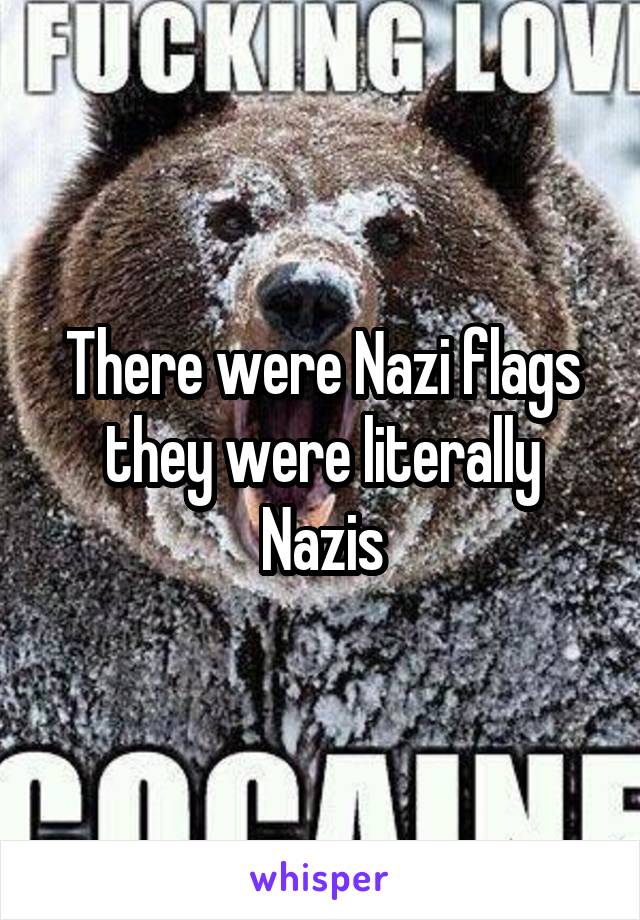 There were Nazi flags they were literally Nazis