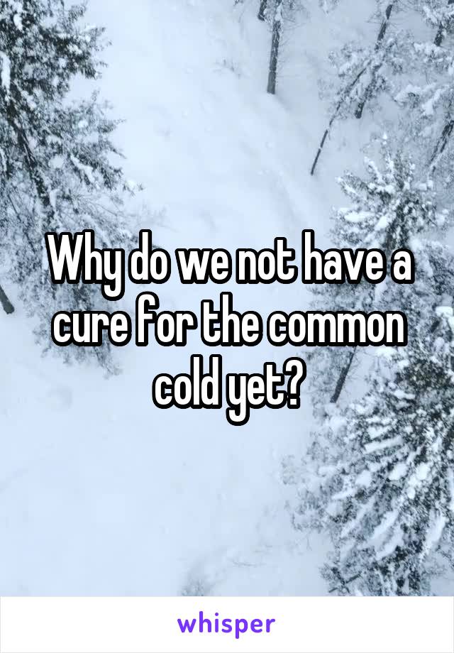 Why do we not have a cure for the common cold yet?