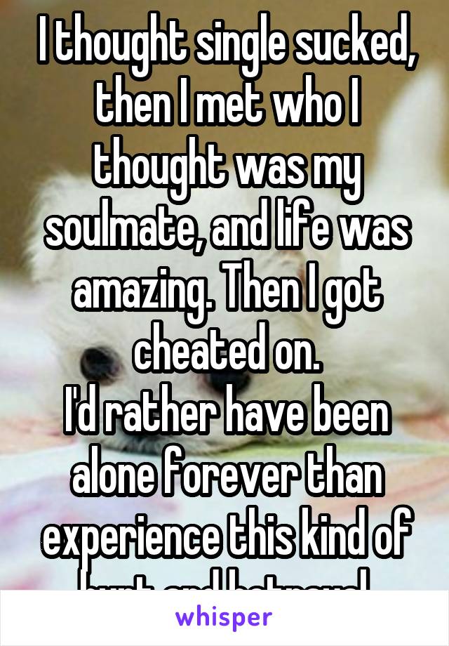 I thought single sucked, then I met who I thought was my soulmate, and life was amazing. Then I got cheated on.
I'd rather have been alone forever than experience this kind of hurt and betrayal.