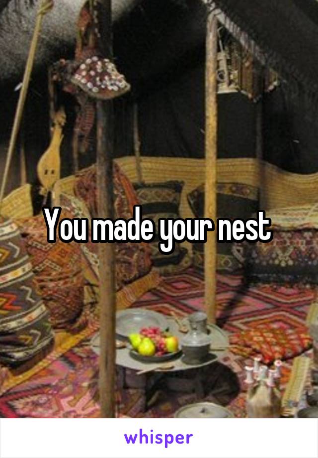 You made your nest 