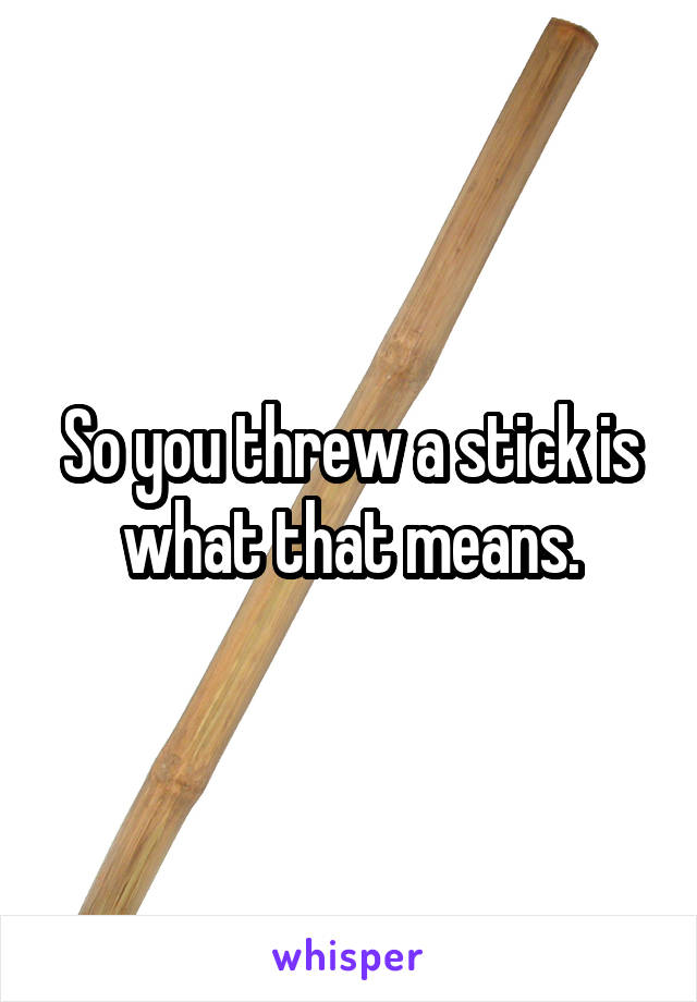 So you threw a stick is what that means.