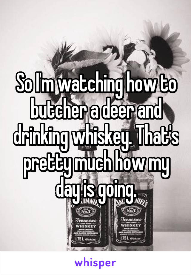 So I'm watching how to butcher a deer and drinking whiskey. That's pretty much how my day is going.