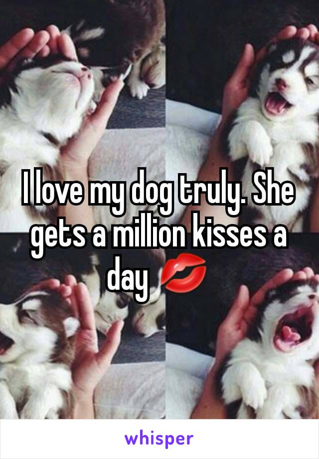 I love my dog truly. She gets a million kisses a day 💋