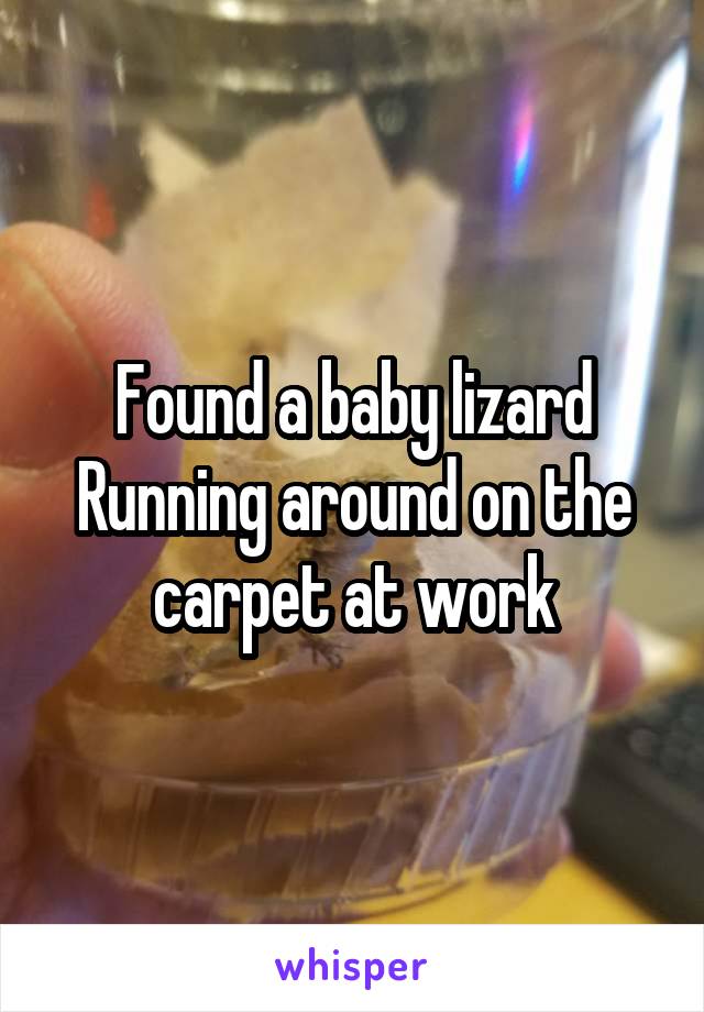 Found a baby lizard
Running around on the carpet at work