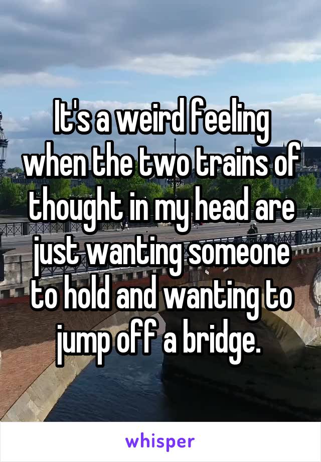 It's a weird feeling when the two trains of thought in my head are just wanting someone to hold and wanting to jump off a bridge. 