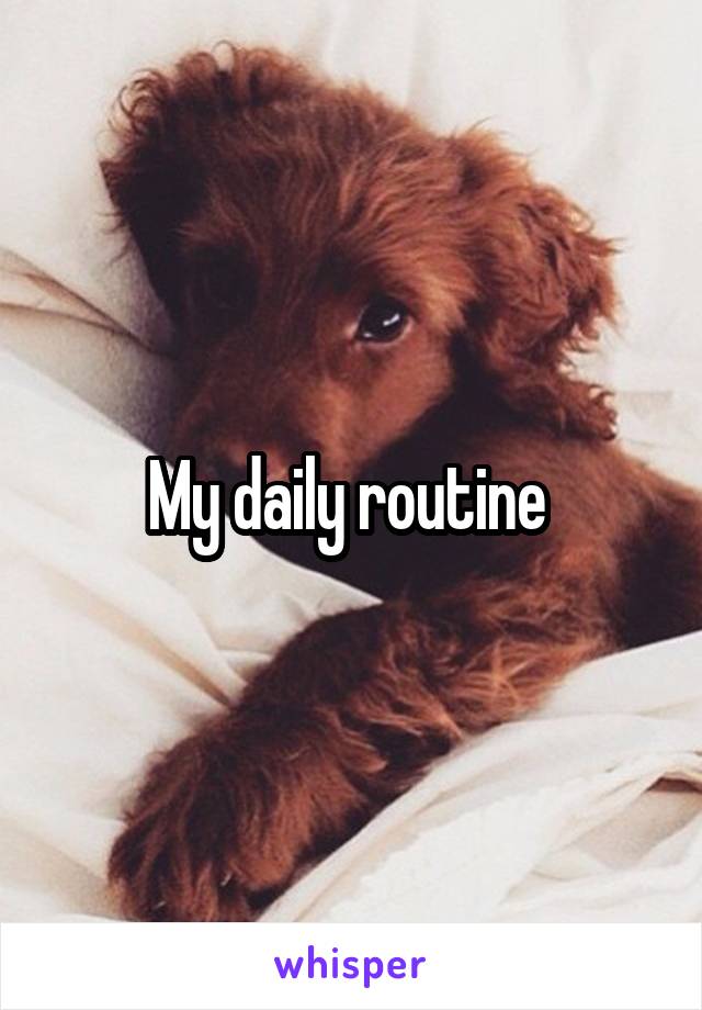 My daily routine 