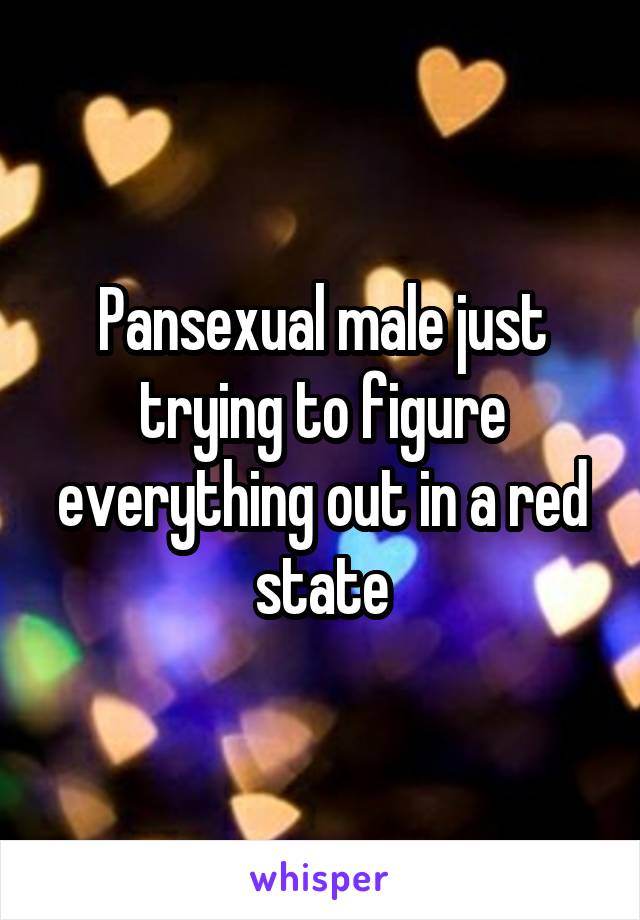 Pansexual male just trying to figure everything out in a red state