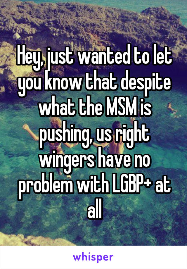 Hey, just wanted to let you know that despite what the MSM is pushing, us right wingers have no problem with LGBP+ at all