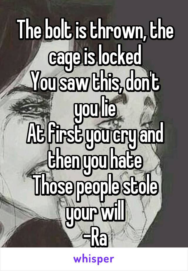 The bolt is thrown, the cage is locked
You saw this, don't you lie
At first you cry and then you hate
Those people stole your will
-Ra