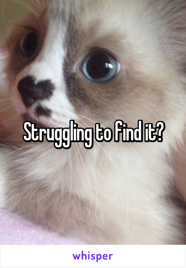 Struggling to find it?