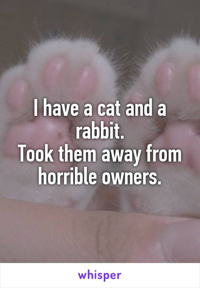 I have a cat and a rabbit.
Took them away from horrible owners.