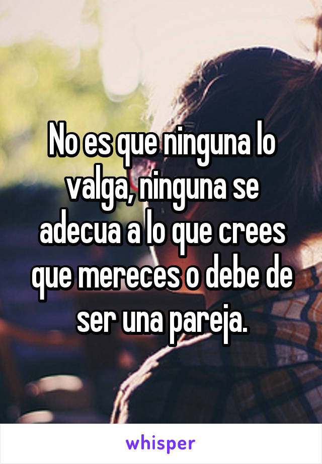 No es que ninguna lo valga, ninguna se adecua a lo que crees que mereces o debe de ser una pareja.