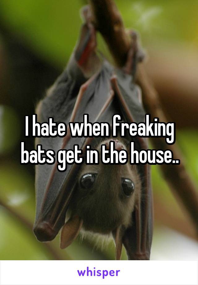 I hate when freaking bats get in the house..