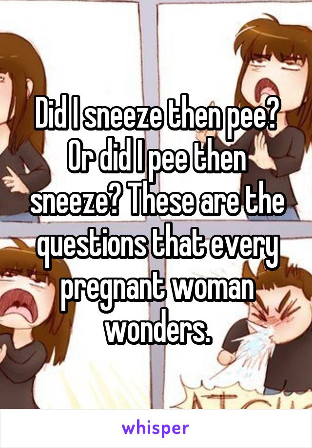 Did I sneeze then pee? Or did I pee then sneeze? These are the questions that every pregnant woman wonders.