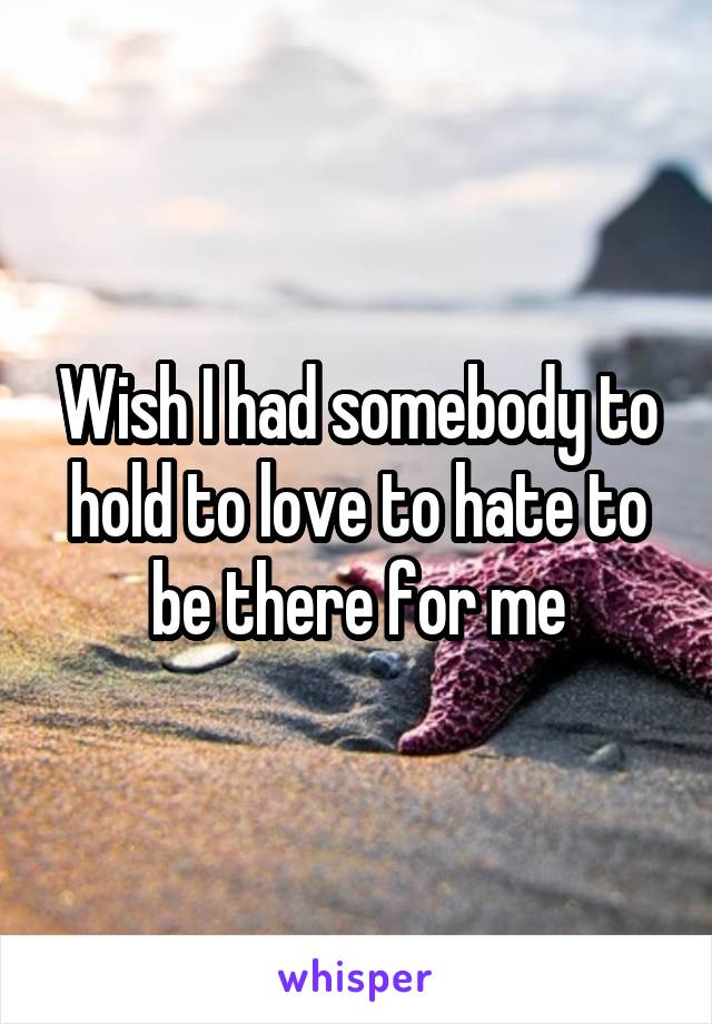 Wish I had somebody to hold to love to hate to be there for me