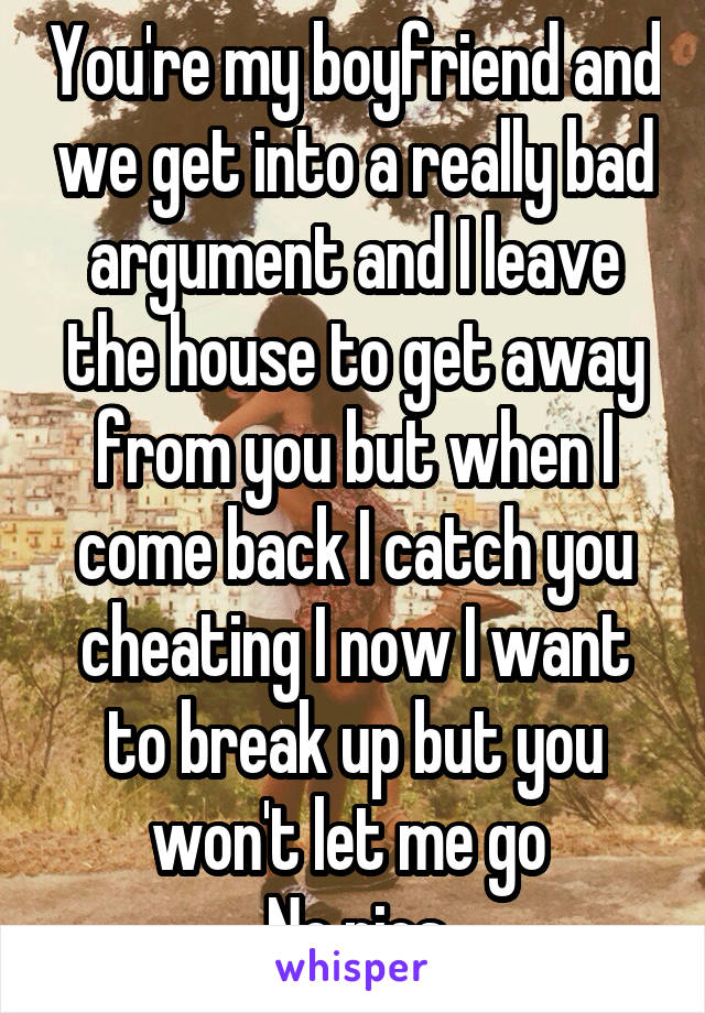 You're my boyfriend and we get into a really bad argument and I leave the house to get away from you but when I come back I catch you cheating I now I want to break up but you won't let me go 
No pics