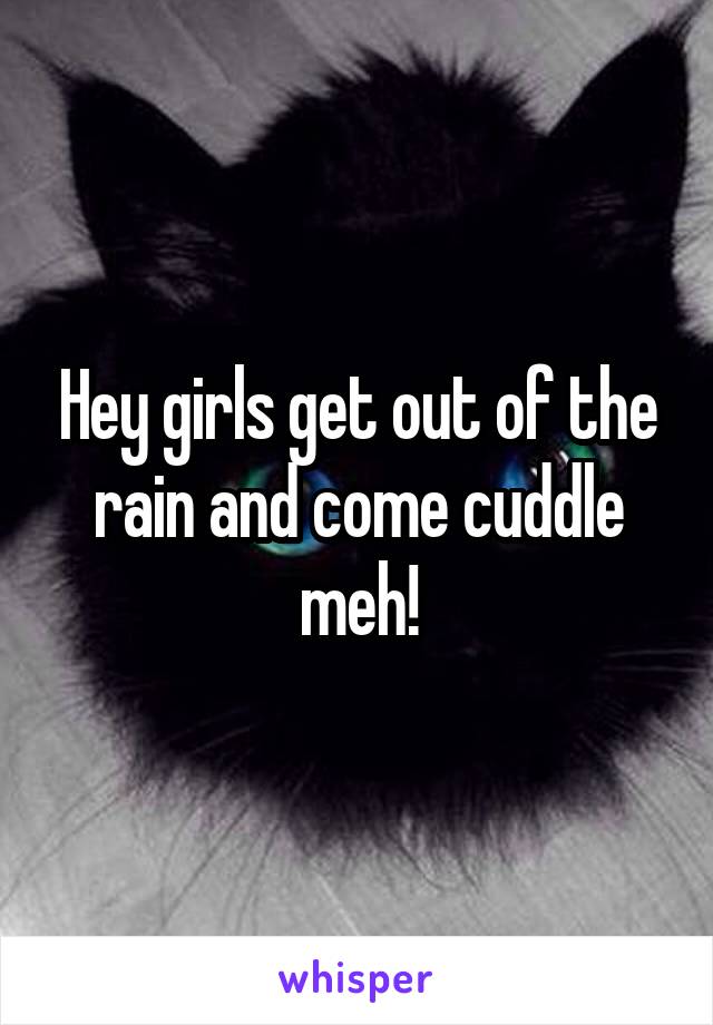 Hey girls get out of the rain and come cuddle meh!