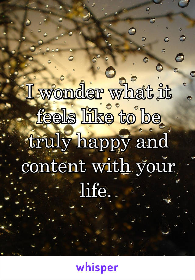 I wonder what it feels like to be truly happy and content with your life. 