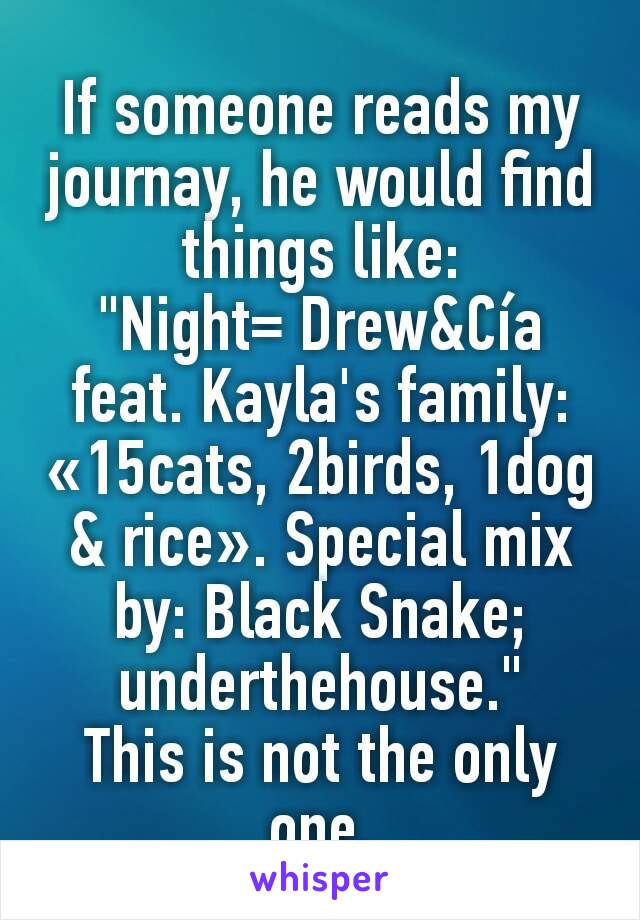 If someone reads my journay, he would find things like:
"Night= Drew&Cía feat. Kayla's family: «15cats, 2birds, 1dog & rice». Special mix by: Black Snake; underthehouse."
This is not the only one.