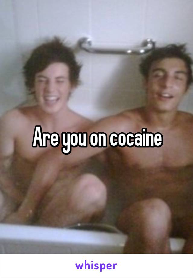 Are you on cocaine