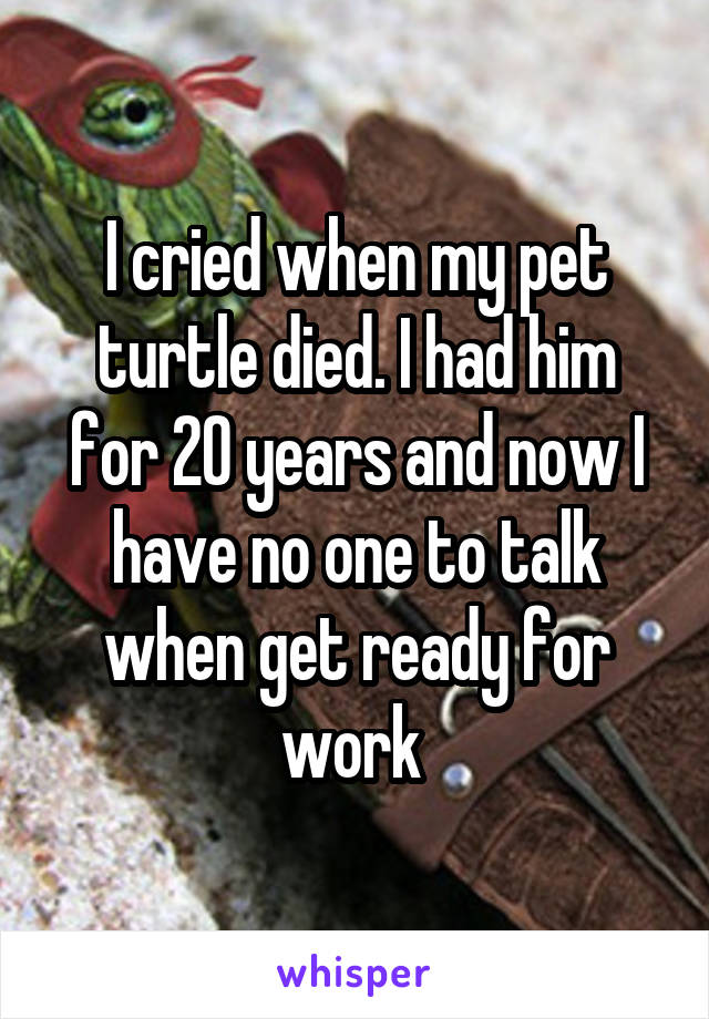 I cried when my pet turtle died. I had him for 20 years and now I have no one to talk when get ready for work 