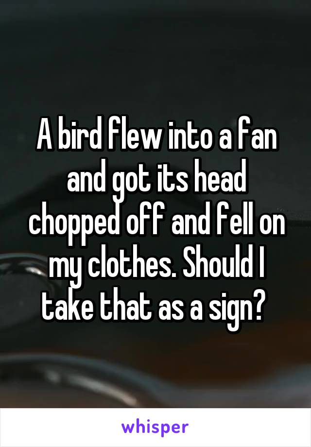 A bird flew into a fan and got its head chopped off and fell on my clothes. Should I take that as a sign? 