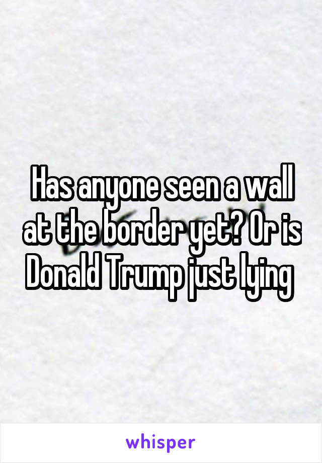 Has anyone seen a wall at the border yet? Or is Donald Trump just lying 