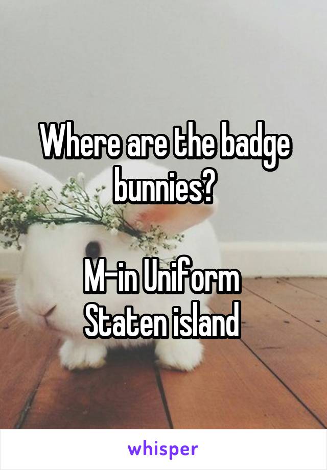 Where are the badge bunnies?

M-in Uniform 
Staten island 