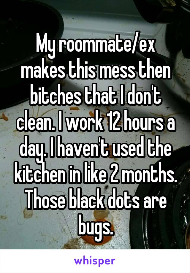 My roommate/ex makes this mess then bitches that I don't clean. I work 12 hours a day. I haven't used the kitchen in like 2 months. Those black dots are bugs.