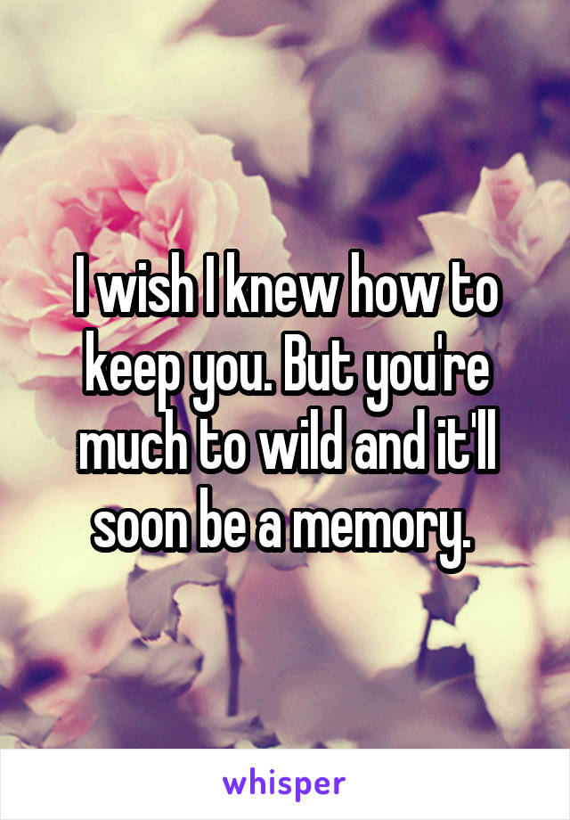 I wish I knew how to keep you. But you're much to wild and it'll soon be a memory. 