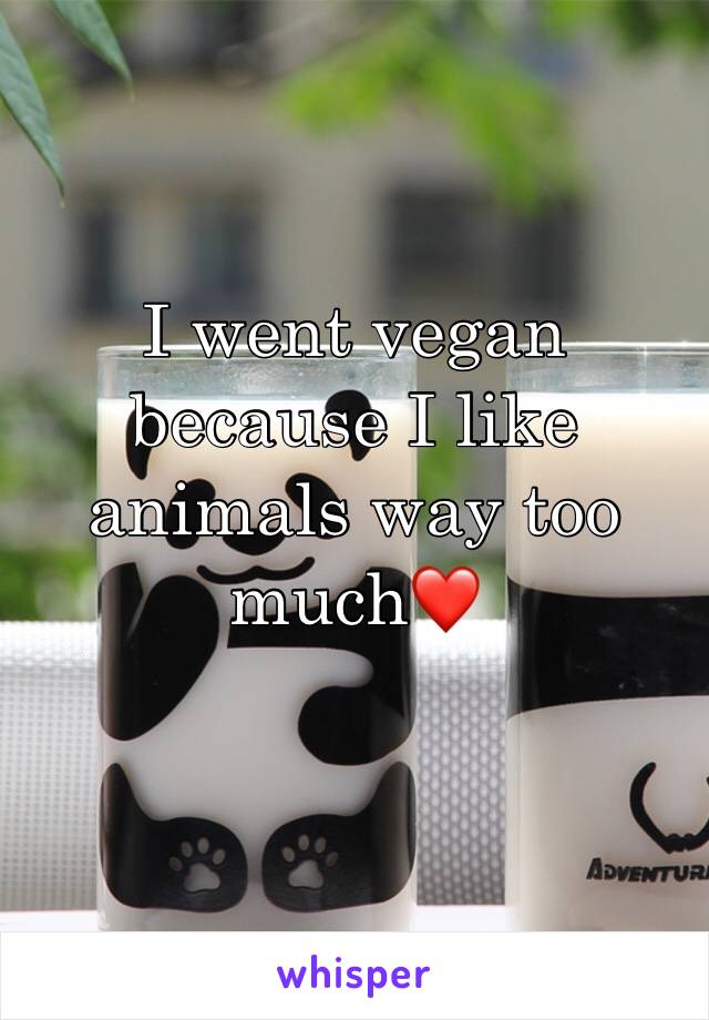 I went vegan because I like animals way too much❤️