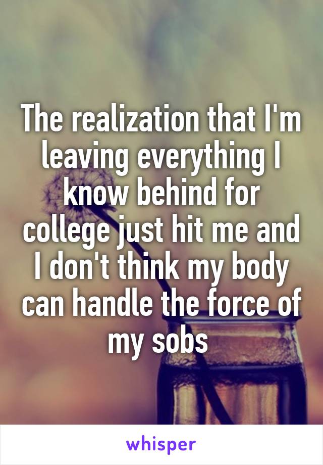 The realization that I'm leaving everything I know behind for college just hit me and I don't think my body can handle the force of my sobs 