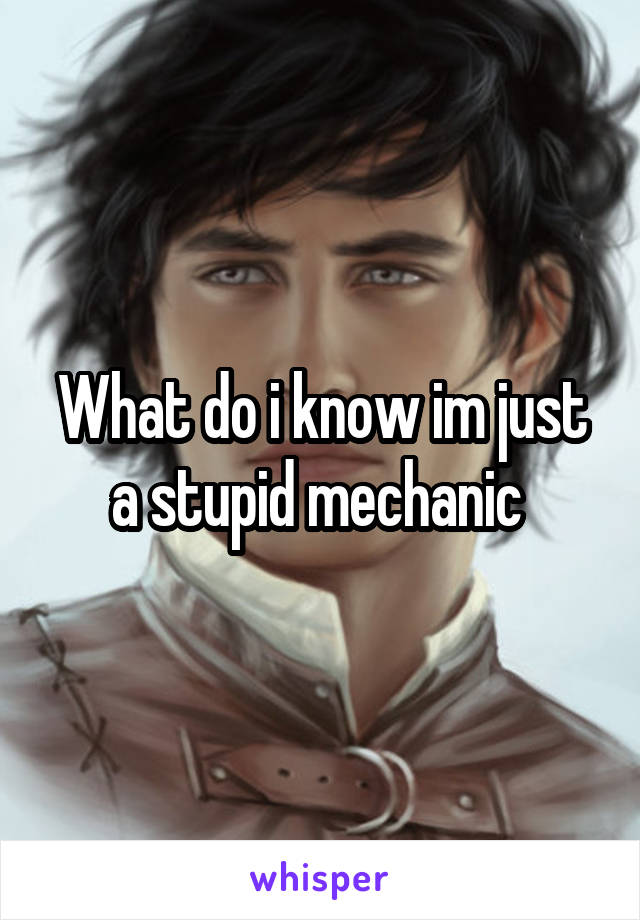 What do i know im just a stupid mechanic 