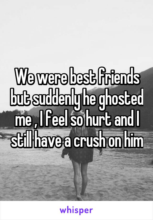 We were best friends but suddenly he ghosted me , I feel so hurt and I still have a crush on him