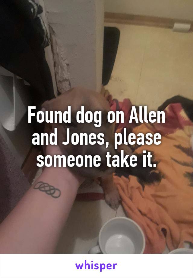 Found dog on Allen and Jones, please someone take it.