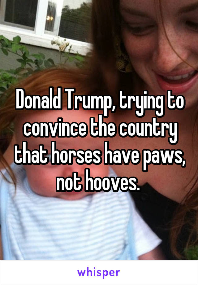 Donald Trump, trying to convince the country that horses have paws, not hooves. 