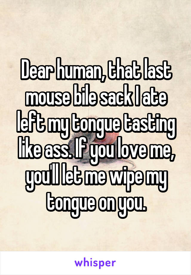 Dear human, that last mouse bile sack I ate left my tongue tasting like ass. If you love me, you'll let me wipe my tongue on you.