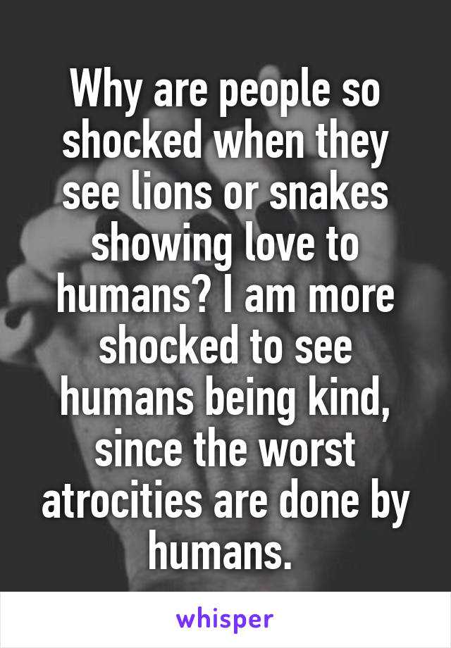 Why are people so shocked when they see lions or snakes showing love to humans? I am more shocked to see humans being kind, since the worst atrocities are done by humans. 