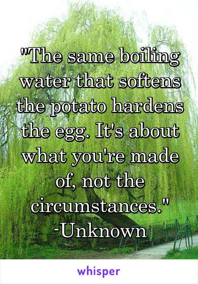 "The same boiling water that softens the potato hardens the egg. It's about what you're made of, not the circumstances."
-Unknown