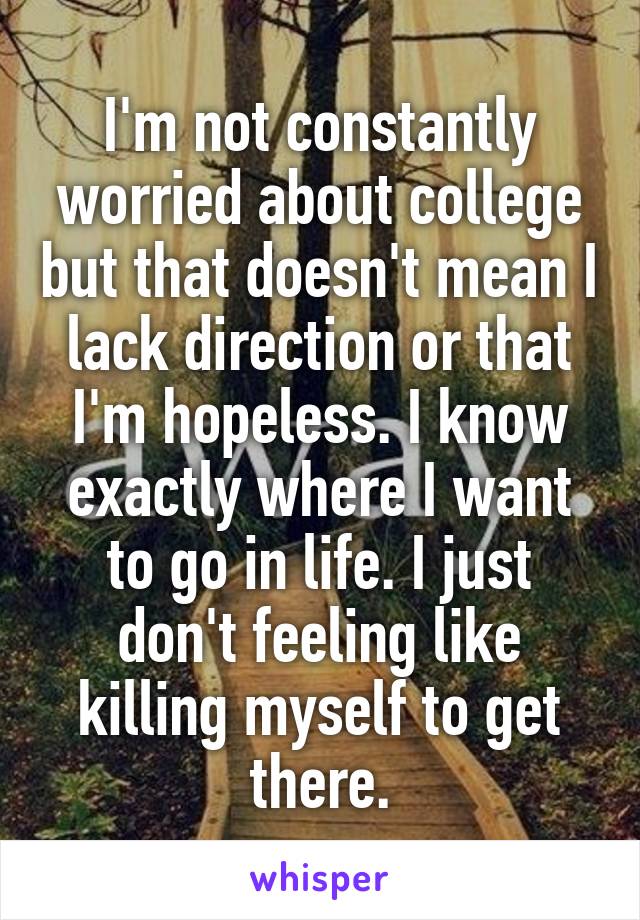 I'm not constantly worried about college but that doesn't mean I lack direction or that I'm hopeless. I know exactly where I want to go in life. I just don't feeling like killing myself to get there.