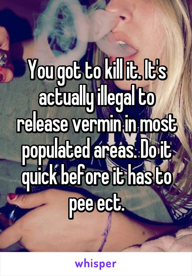 You got to kill it. It's actually illegal to release vermin in most populated areas. Do it quick before it has to pee ect.