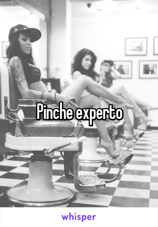 Pinche experto