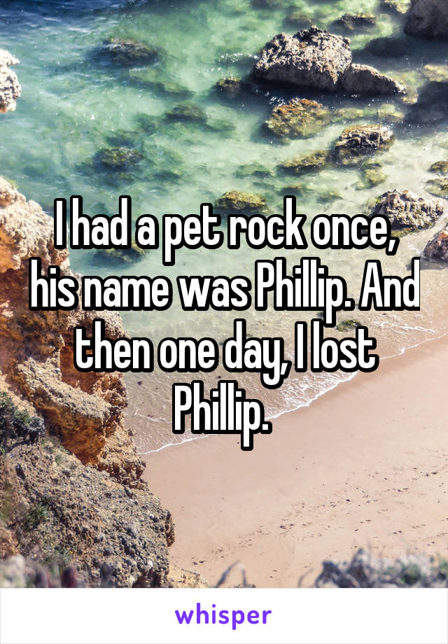 I had a pet rock once, his name was Phillip. And then one day, I lost Phillip. 